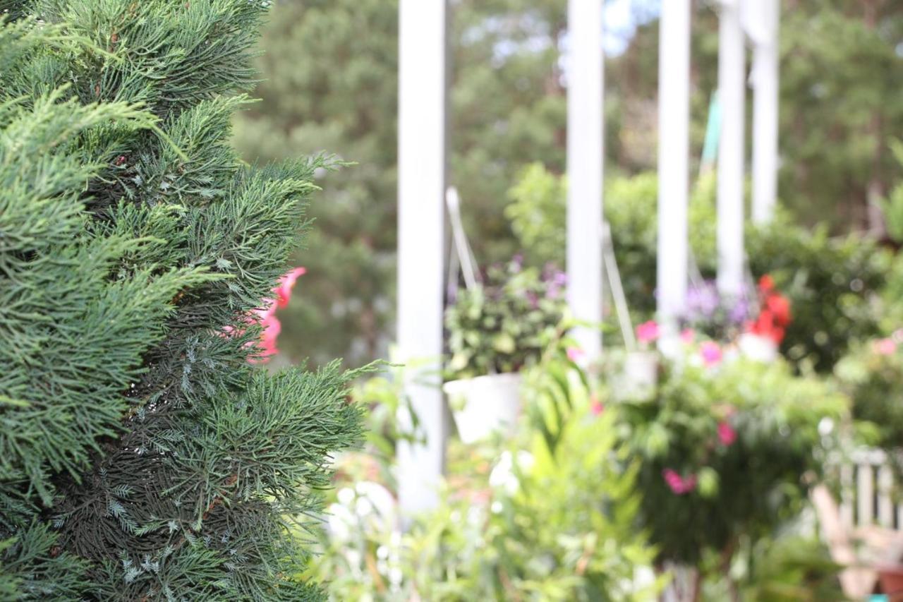 Ngoc Nguyen Homestay Da Lat Zewnętrze zdjęcie